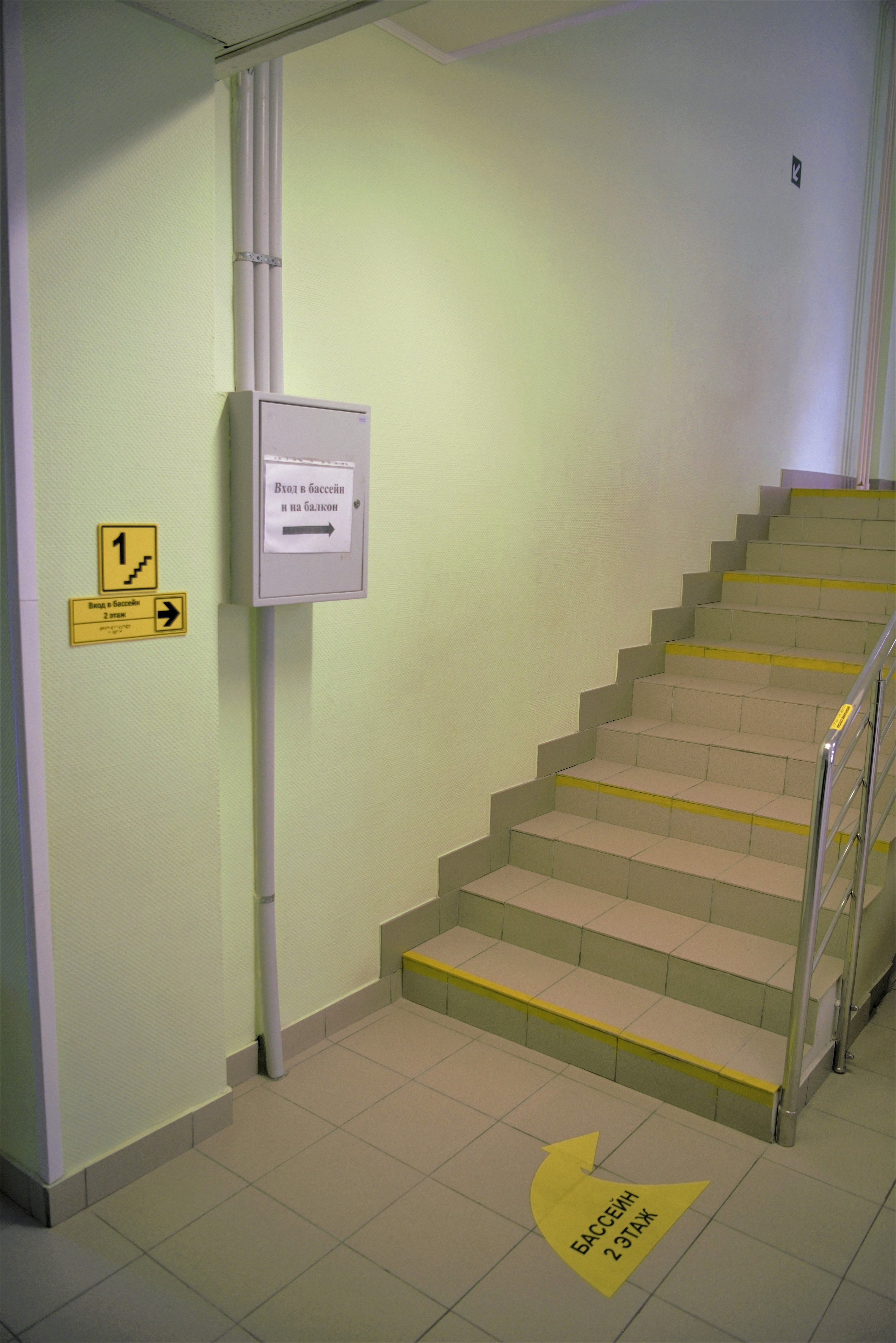 пример текста